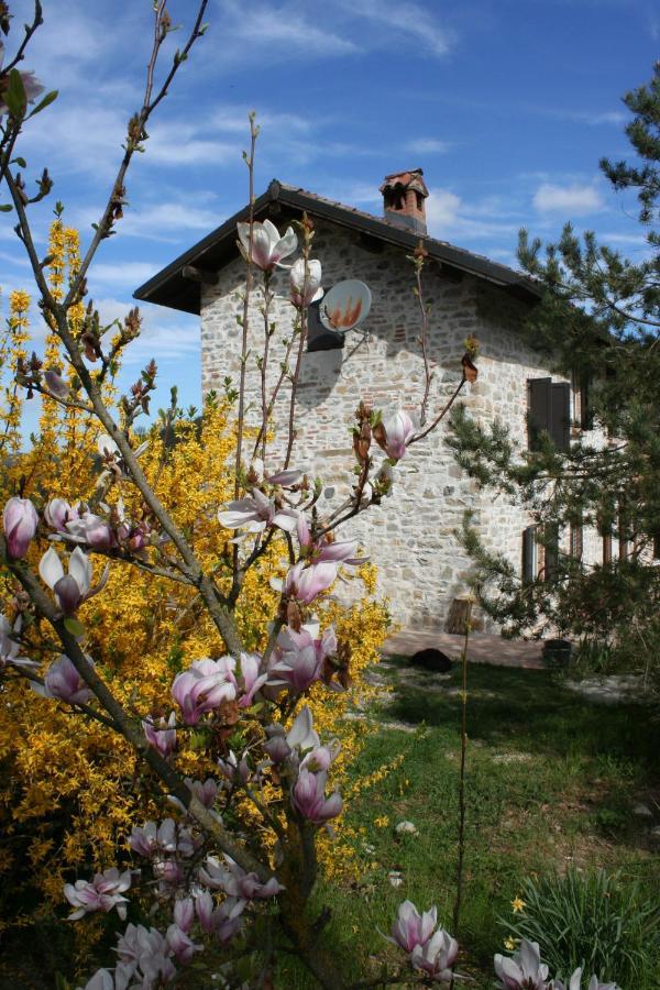 Agriturismo Malvista Villa San Sebastiano Curone Exterior photo